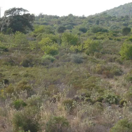 Sitio Da Cornucopia 빌라